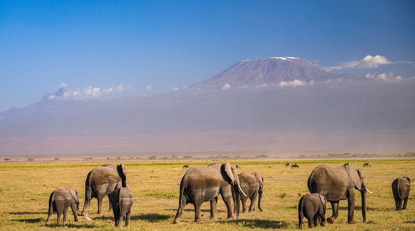Amboseli National Park