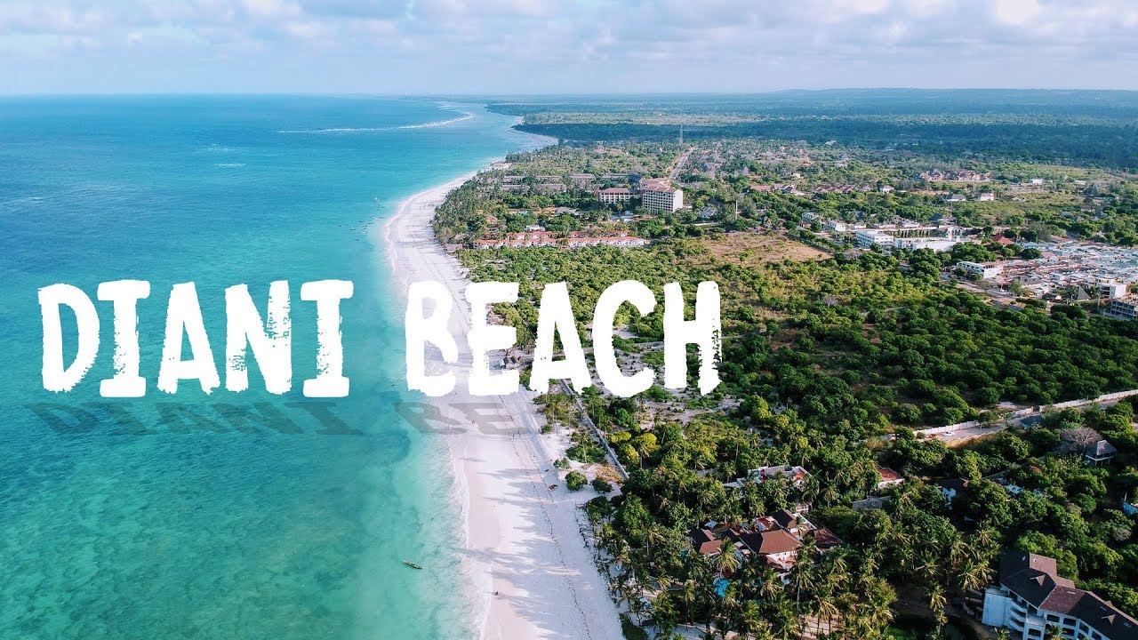 Diani Beach Experience